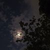 orazbekovaa.ai