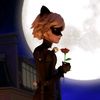 🐈‍⬛🐾𝑨𝒅𝒓𝒊𝒆𝒏