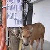 phatanh69