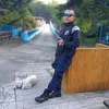 rodelioaguilar496