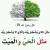 252ifka