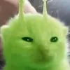 bilu_rei