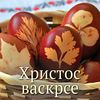 vikivikiaa