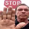 rizzemwiththe.autism