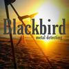 blackbirdmetaldetecting