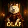 olayfnemasi