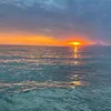 enzuccio.r
