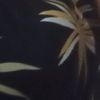 silviahuerta403
