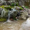 Deckers’s Pondscapes
