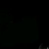 andirini_03_21_2014