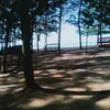 fitriwahyu50