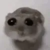 rymrtsgrxx_