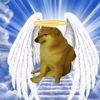 bye_chems
