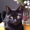 mimmi.la.rue