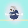 parakeet_world5