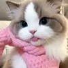 qutieemaemae