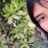 neycxars