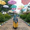 megalestari847
