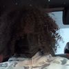 bailoutkeem.0