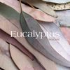 eucalyptus.skincare