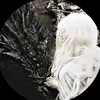 paeydngray