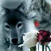 user851010617369