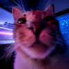 hi_rofl