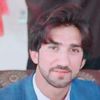 farhang520