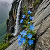 .thanhxuan1296