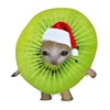 kiwi1006838