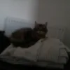 woody_beau1234