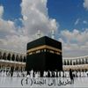 user7116630380442