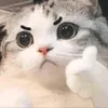 pawthongboon