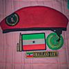 .mustafeaarka141aad4