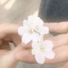 xxari_..x...xx