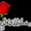 waqarazam210