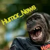 Humor_News]![Новости_Юмора