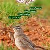 almq_54