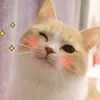 benhudagyew