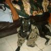 carlossaenzii