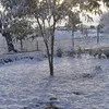 dyft6zxccpuy