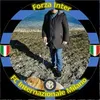 vitomarzulli7