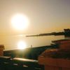 smara.1988