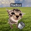 nadlos