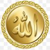 صقر  سماء