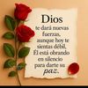 gladyscastillo219