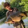 fish_hub_saone
