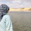 rozan.228