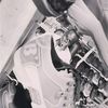 sir_mosh256