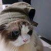 snaffleeenjoy